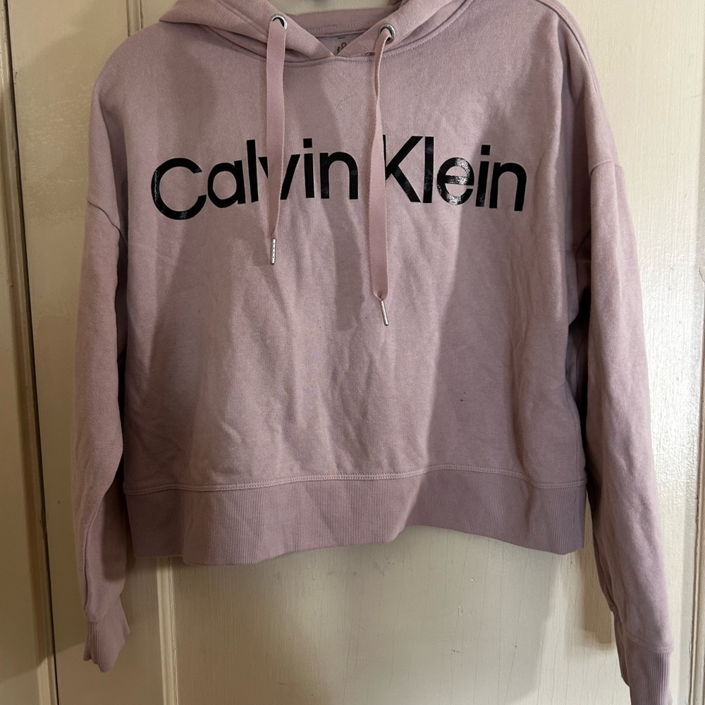 Calvin Klein Women's Mauve Hoodie